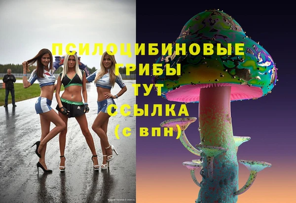 эйфоретик Баксан