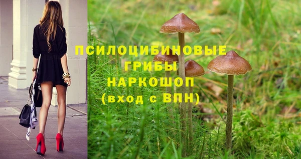 эйфоретик Баксан