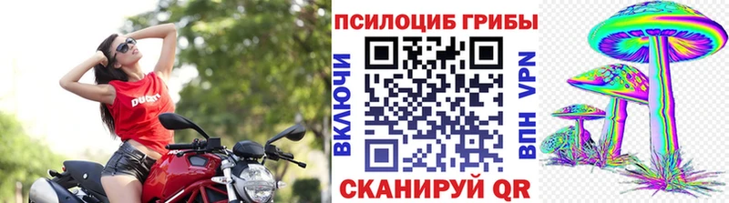 как найти закладки  Кувандык  Галлюциногенные грибы Psilocybine cubensis 